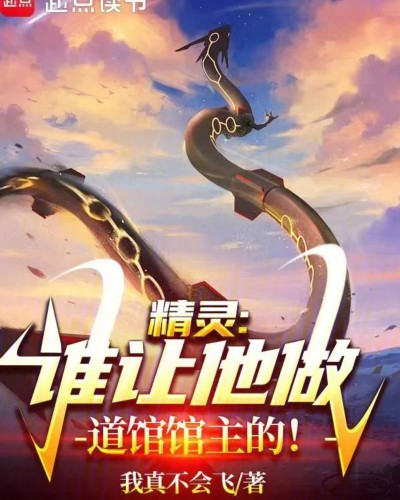 精灵，谁让他做道馆馆主的